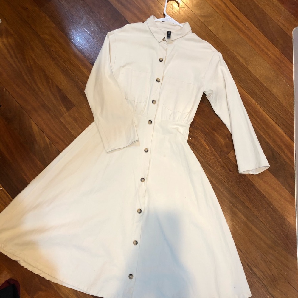 Zara button down collared dress